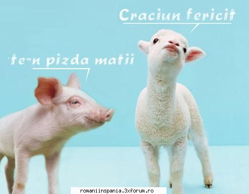 poza zilei palatul