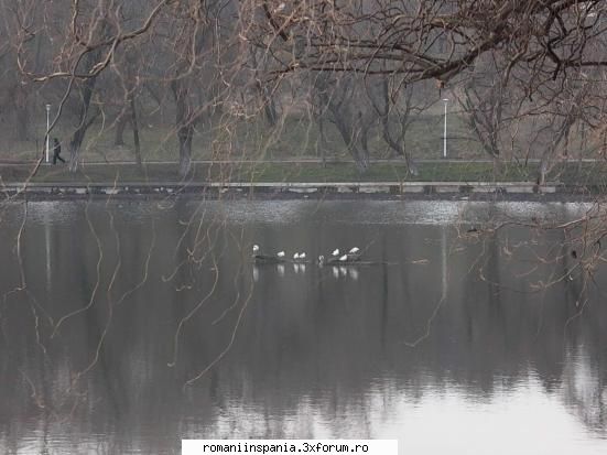 parcul