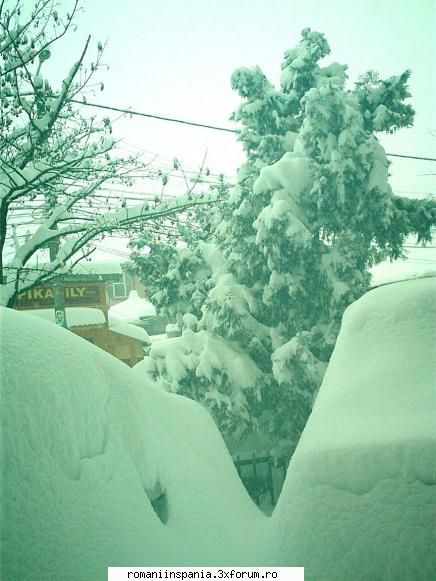 zapada in bucuresti 04.01.2008