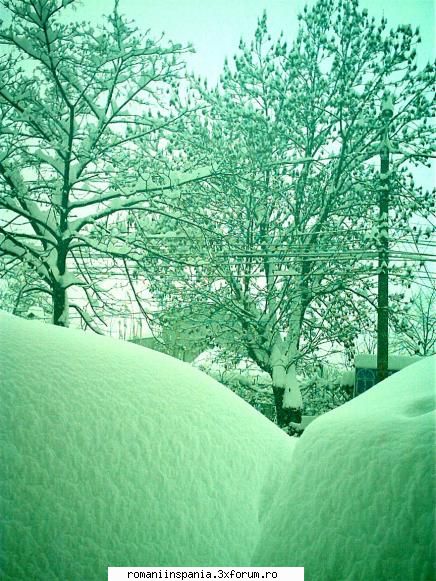 zapada in bucuresti 04.01.2008